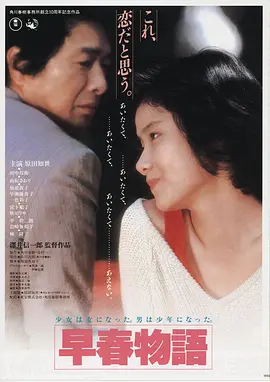 免费高清手机电影长夜回声海报